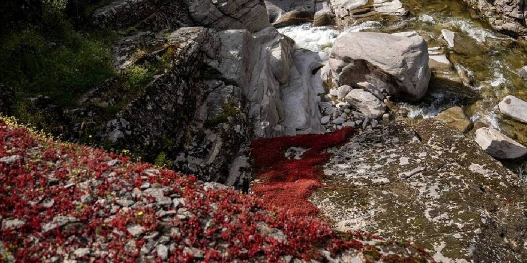 Doğanın suyla şekillenen sanat eseri: Bu yaz herkes akın edecek 6